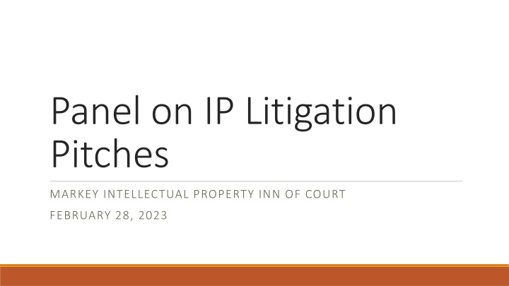 Panel on IP Litigation Pitches at Markey Intellectual Property Inn