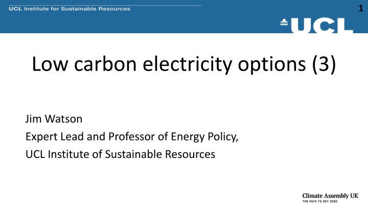 Low Carbon Electricity Options in the UK