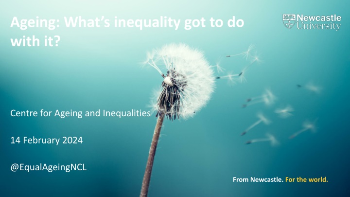 The Intersection of Ageing and Inequality: A Call for Action