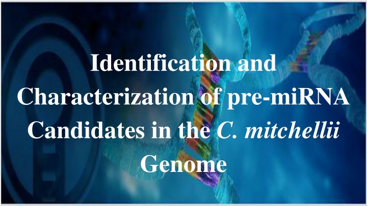 Identification and Characterization of miRNA Candidates in C. mitchellii Genome