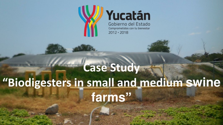 Biodigesters in Small and Medium Swine Farms