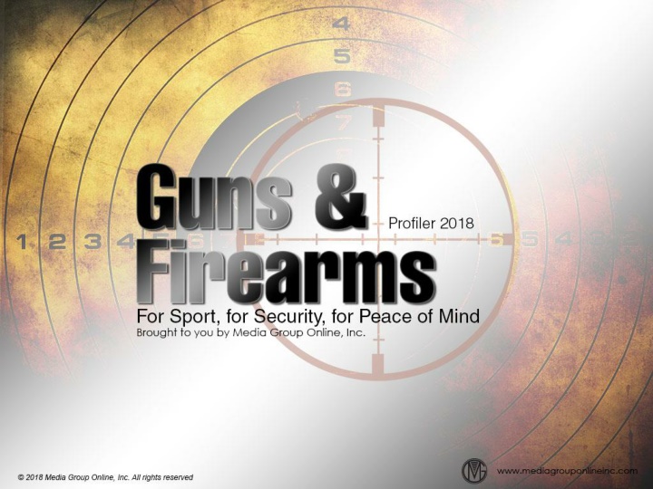Impact of Gun Sales Trends on Manufacturers and Crime Rates