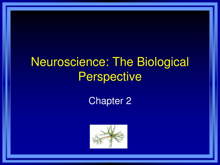 Neuroscience: The Biological Perspective