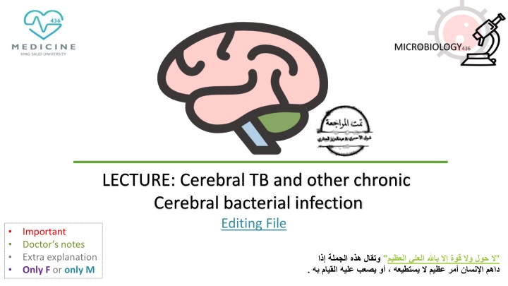 Chronic Cerebral and Meningitic Infections: Etiology, Symptoms, and Microbiological Causes