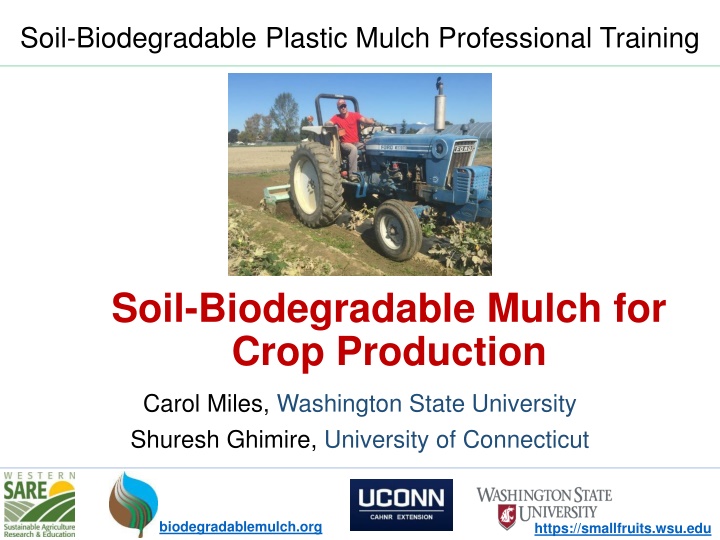 Biodegradable Mulch for Sustainable Crop Production