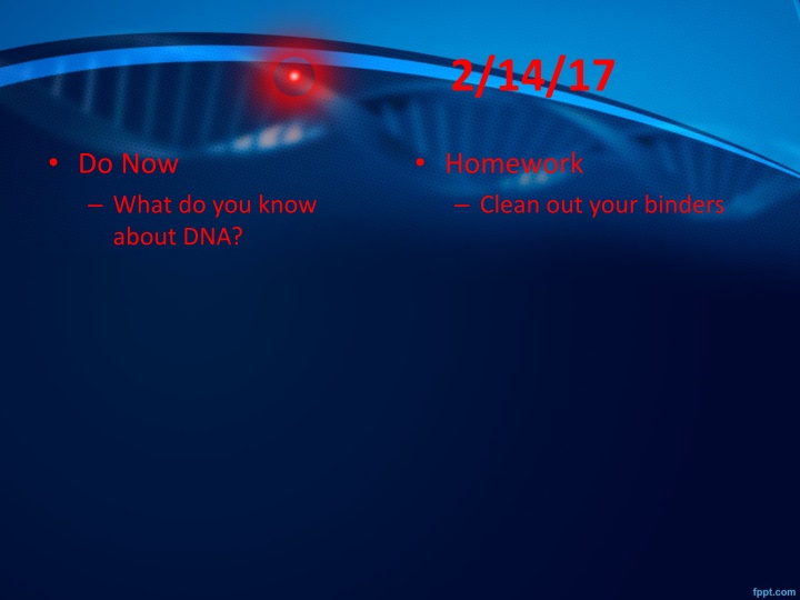 DNA: Structure, Function, and Replication