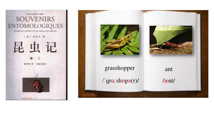 The Grasshopper and the Ant