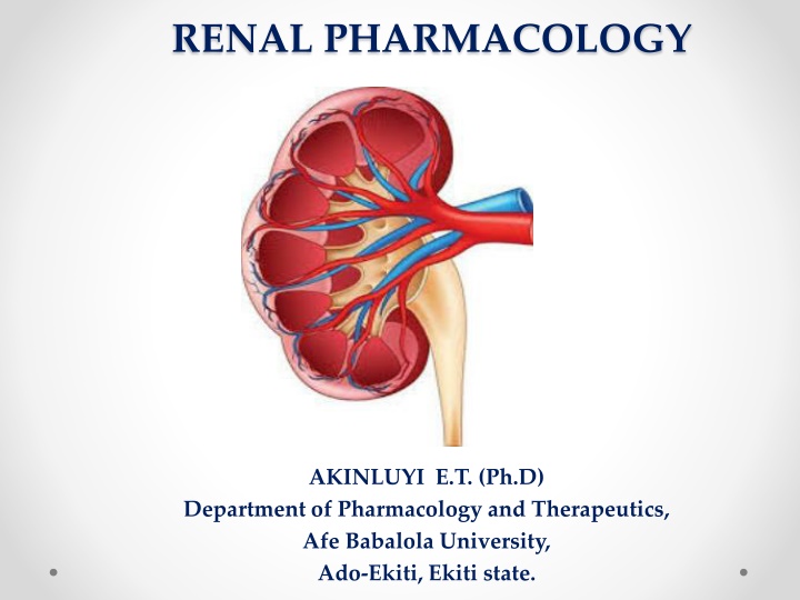 Overview of Renal Functions and Processes