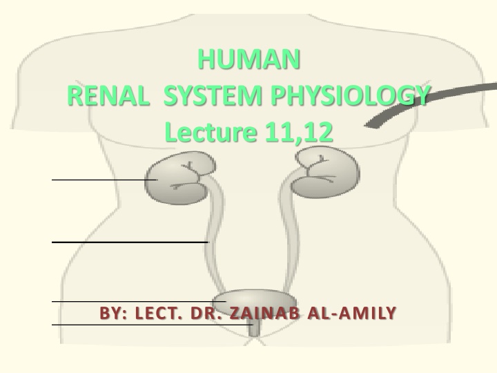 Metabolic Acidosis and Alkalosis: Causes and Mechanisms