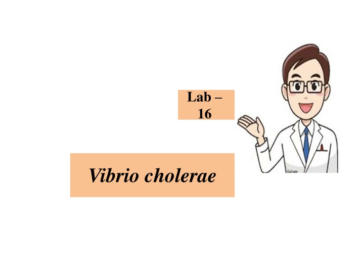 Vibrio Cholerae: Gram-Negative Bacterium Causing Cholera