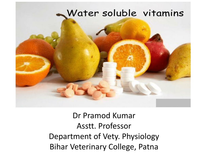 Introduction to Vitamins and Their Importance in Health