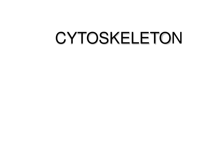 The Cytoskeleton: History, Introduction, and Structural Elements