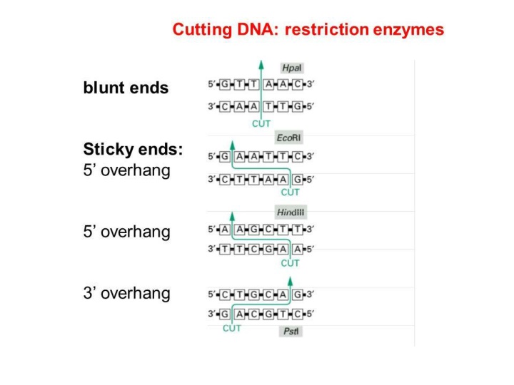 slide1 n.w