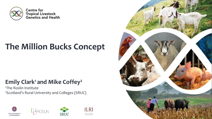 the million bucks concept n.w