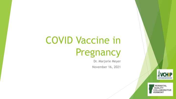 covid vaccine in pregnancy n.w