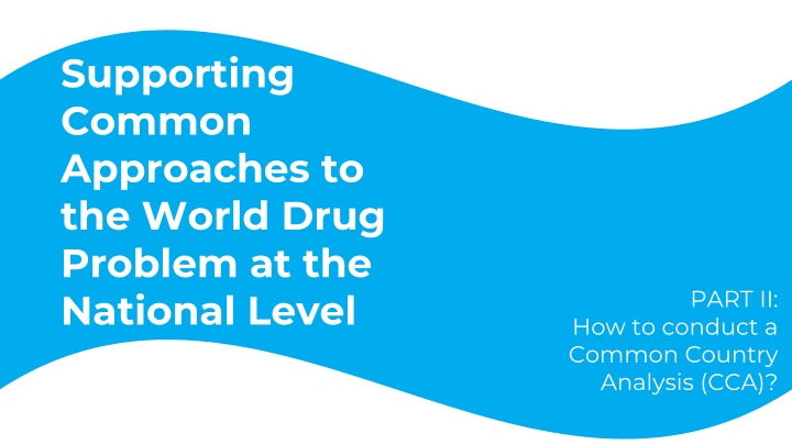supporting common approaches to the world drug n.w