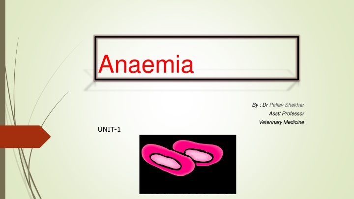 anaemia n.w