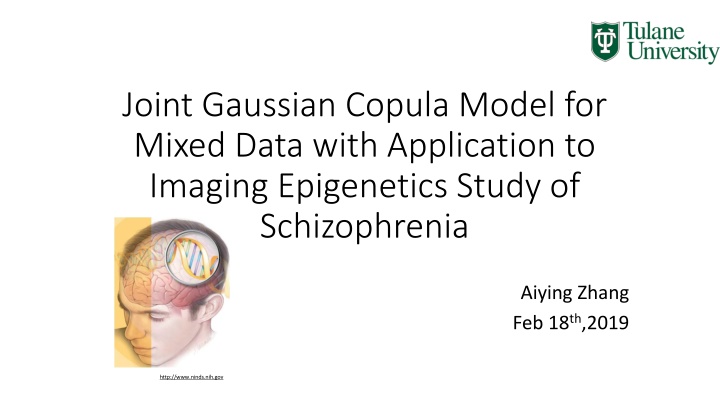 joint gaussian copula model for mixed data with n.w