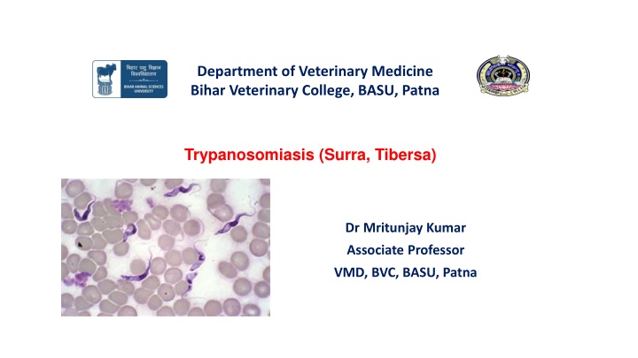 Trypanosomiasis in Cattle and Buffaloes
