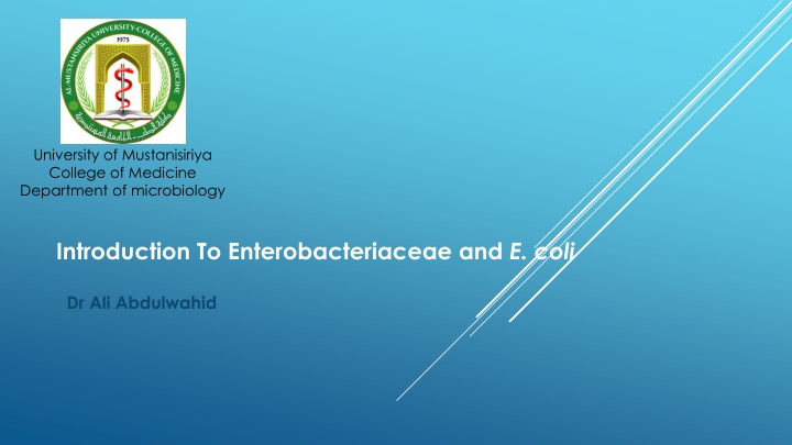 Introduction to Enterobacteriaceae and E. coli in Microbiology