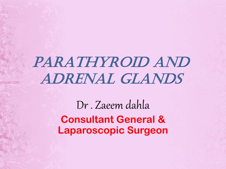 Parathyroid and Adrenal Glands: Development, Anatomy, Physiology, and Surgery