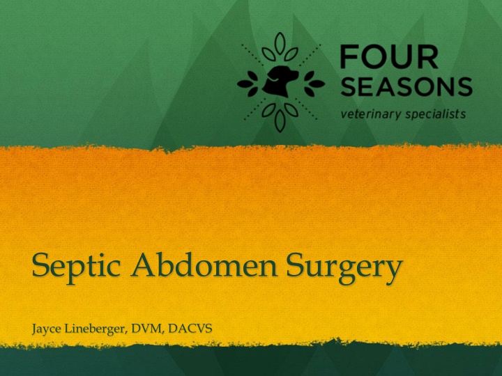 Septic Abdomen Surgery Guide