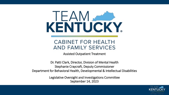 Assisted Outpatient Treatment (AOT) Services and Impact Overview