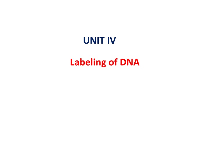 unit iv n.w