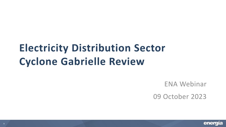 electricity distribution sector cyclone gabrielle n.w