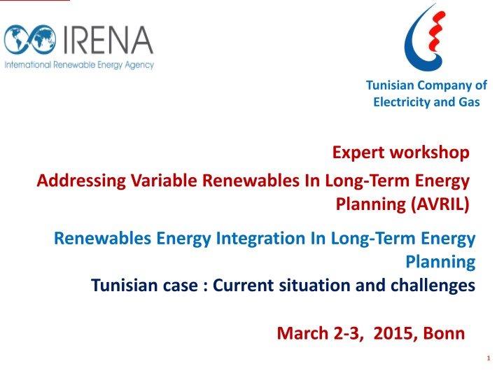 tunisian company of electricity and gas n.w