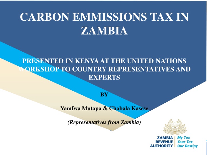 carbon emmissions tax in zambia n.w