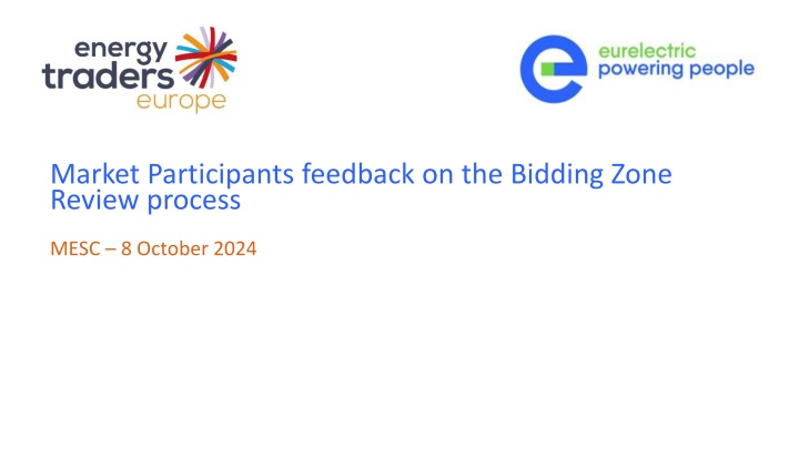 Market Participants feedback on the Bidding Zone  Review process