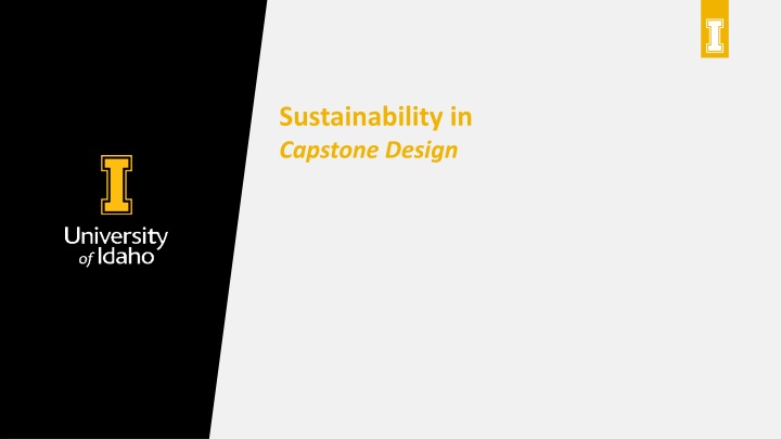 sustainability in capstone design n.w