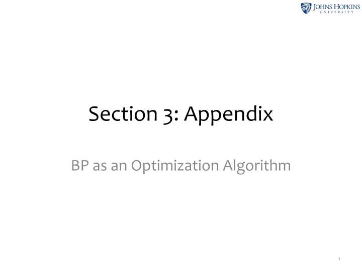 Appendix on BP Optimization Algorithm