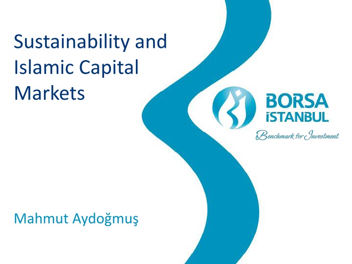 Sustainability and Islamic Capital Markets