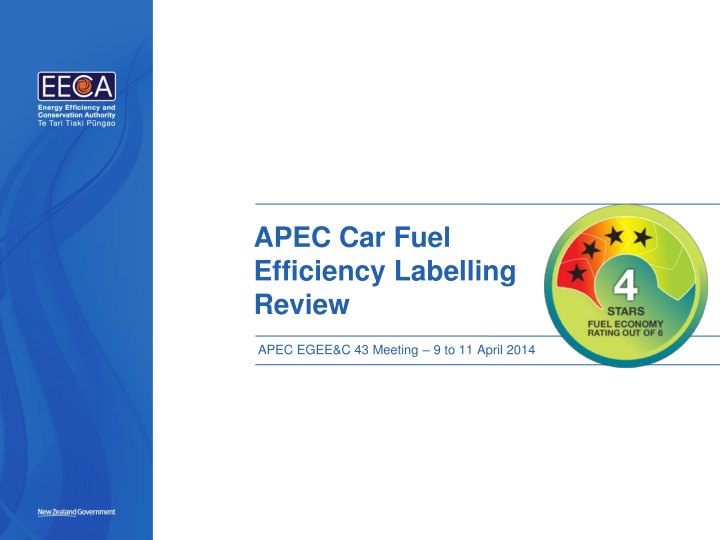 APEC Car Fuel Efficiency Initiatives Overview