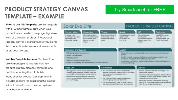 product strategy canvas template example n.w