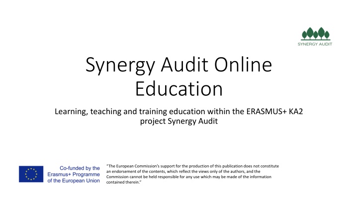 synergy audit online education n.w