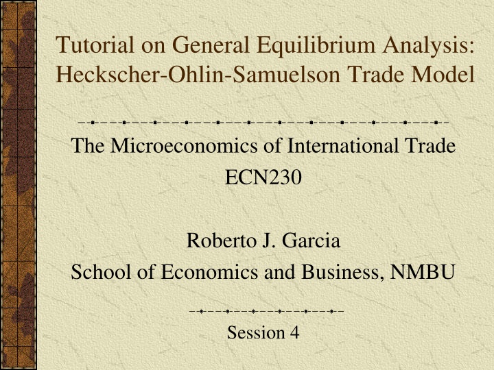 tutorial on general equilibrium analysis n.w