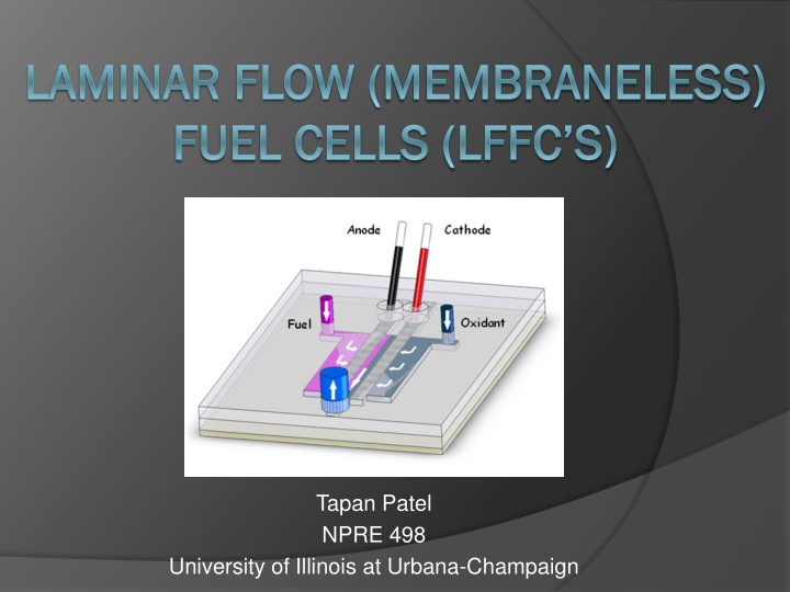 laminar flow laminar flow membraneless n.w