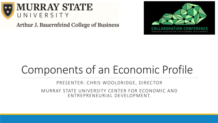 components of an economic profile n.w