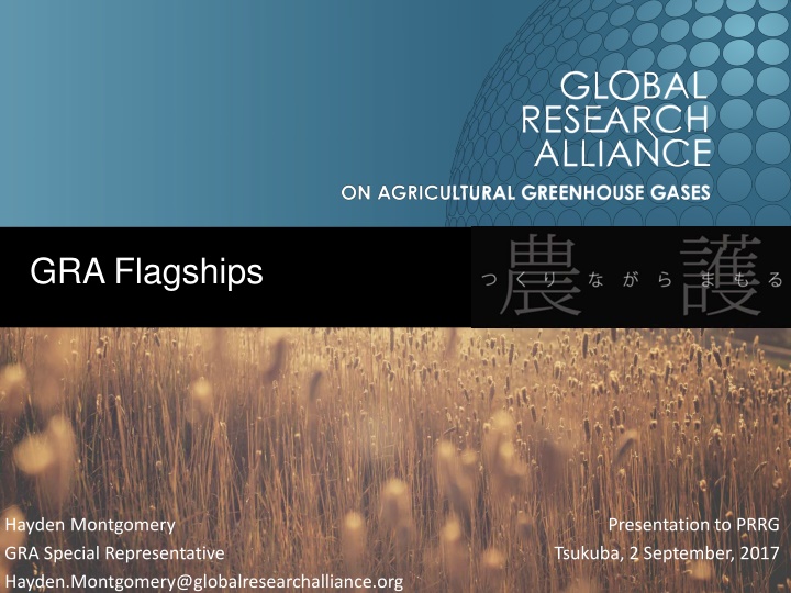 gra flagships n.w