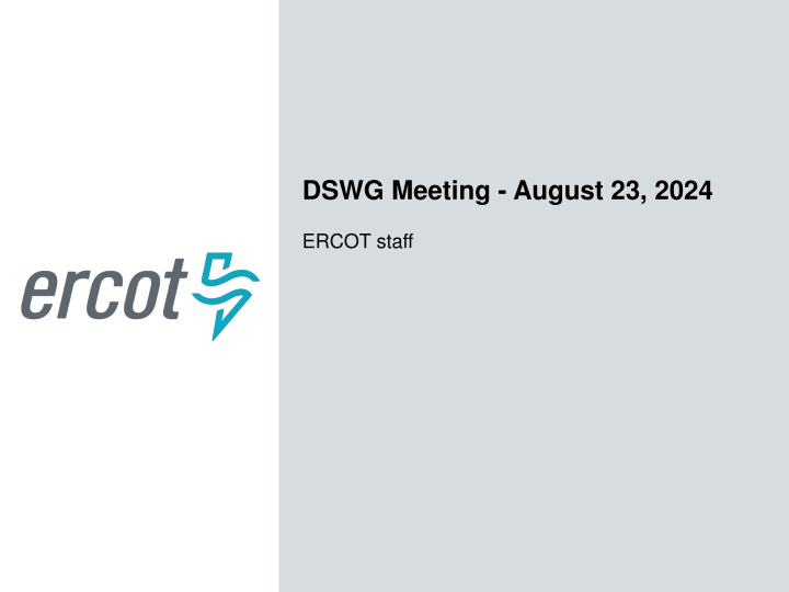 dswg meeting august 23 2024 n.w