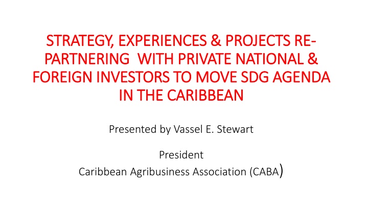 Partnering with Investors for SDGs in the Caribbean