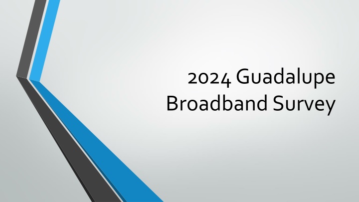 Guadalupe Broadband Survey 2024 - Bridging the Divide and Enhancing Business Innovation