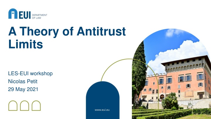 Limits of Antitrust Law: Efficiency vs. Legitimacy Debate
