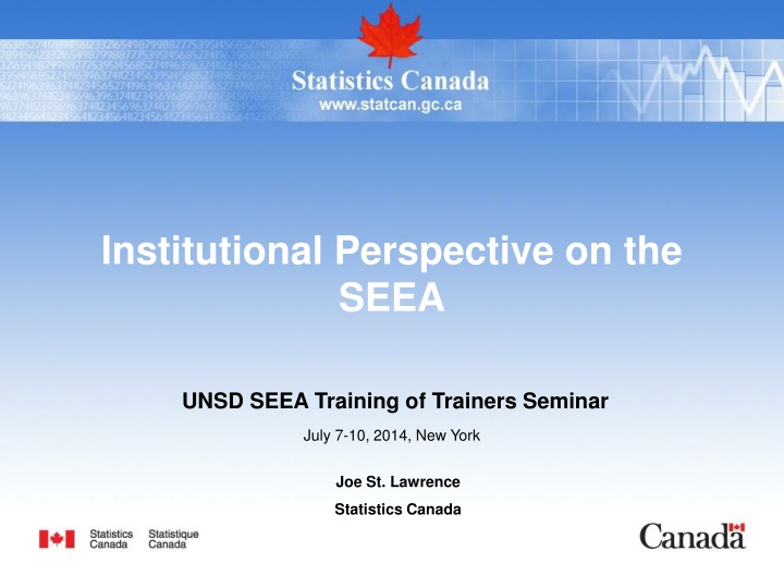 institutional perspective on the seea n.w