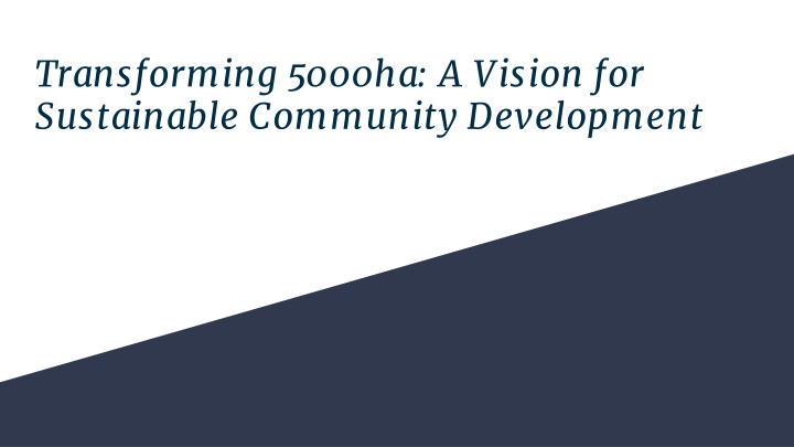 Vision for Sustainable Community Development