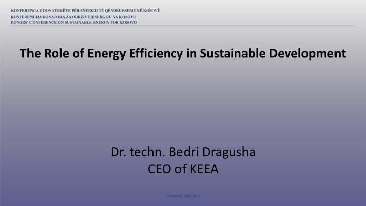 the role of energy efficiency in sustainable n.w