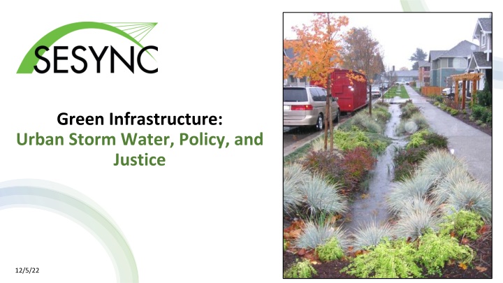 green infrastructure urban storm water policy n.w